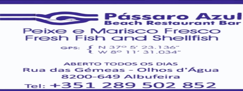 Roteiros-de-Portugal-Passaro-Azul-GIF