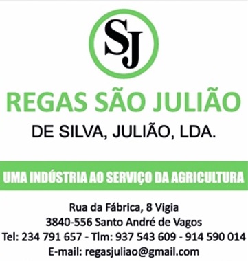 Roteiros-de-Portugal-Aveiro-Vagos-Silva-Julião-Lda